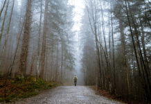 Podstawowe zasady panujące wśród myśliwych – czy wiedziałeś o nich?